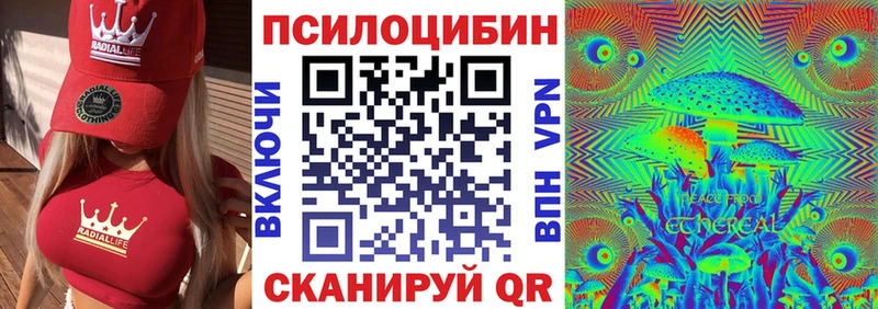 Псилоцибиновые грибы мицелий  наркота  Хилок 