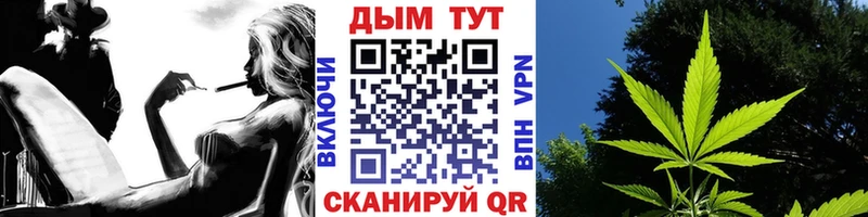 Конопля ГИДРОПОН OMG ONION Хилок цена